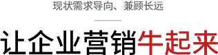 企業(yè)網(wǎng)站營(yíng)銷(xiāo)