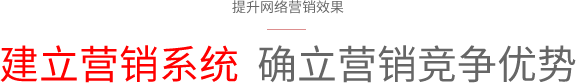 網(wǎng)站營(yíng)銷(xiāo)